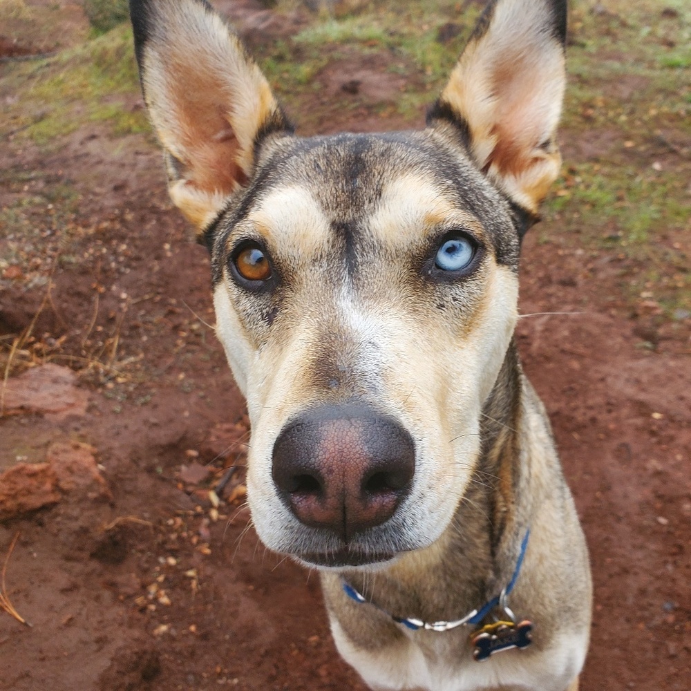 Meet your Posher, Rita